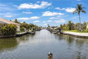 1010 48th Terrace, Cape Coral, FL 33914 - MLS#225050394