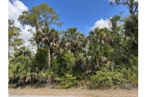 27XX 18th Avenue, Naples, FL 34120 - MLS#225050445
