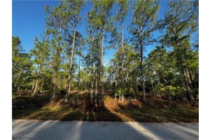 1221 Canton Avenue, Lehigh Acres, FL 33972 - MLS#225050522