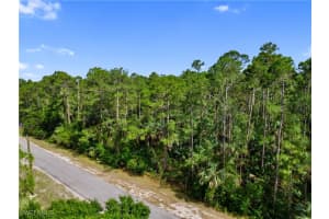  3rd AVE SW, Naples, FL 34117 - MLS#225050848