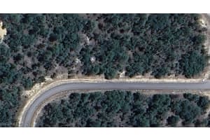 3607 Parkview Drive, Dunnellon, FL 34433 Sold 06/16/25