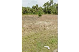 918 medford Avenue, Lehigh Acres, FL 33974 - MLS#225052568