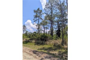 249 Andalucia Avenue, Lehigh Acres, FL 33974 - MLS#225052608