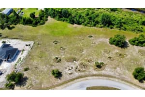 29031 Tortoise Trail, Punta Gorda, FL 33982 - MLS#225053188