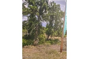 961 Gleason Street, Lehigh Acres, FL 33974 Sold 09/09/25