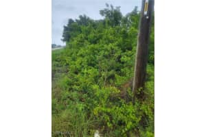 3114 5th St SW, Lehigh Acres, FL 33976 - MLS#225055269