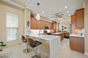 20028 Saraceno Dr, Estero