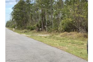 xxxx 2nd Avenue, Naples, FL 34117 - MLS#225057549