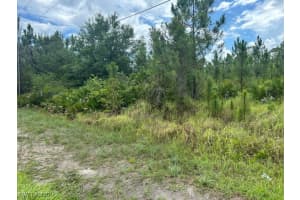 921 Robert Avenue, Lehigh Acres, FL 33936 - MLS#225057980