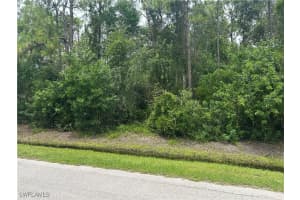 24032 Dietz Drive, Bonita Springs, FL 34135 Sold 09/19/25