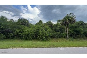 , Naples, FL 34117 - MLS#225058941