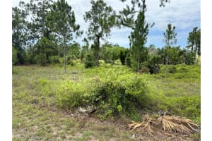 1244 Cordoba Street, Lehigh Acres, FL 33974 - MLS#225059663