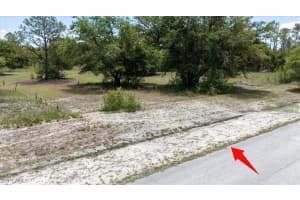MLS# 225059974, Lehigh Acres, Florida 33972