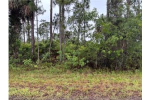 868 Audrey Street, Lehigh Acres, FL 33974 - MLS#225060891