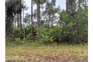 868 Audrey Street, Lehigh Acres, FL 33974 - MLS#225060891