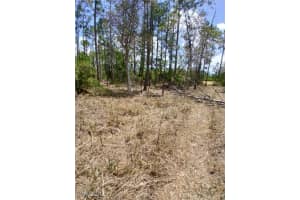 2142 Winnetka Drive, Lehigh Acres, FL 33972 - MLS#225061303