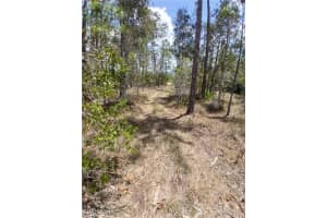 2142 Winnetka Drive, Lehigh Acres, FL 33972 - MLS#225061303