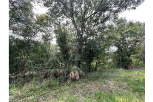 1316 Canton Avenue, Lehigh Acres, FL 33972 - MLS#225061523