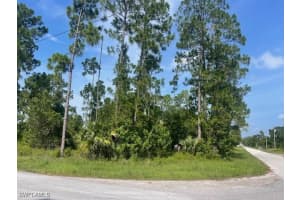 1010 Manikin Avenue, Lehigh Acres, FL 33974 - MLS#225062275