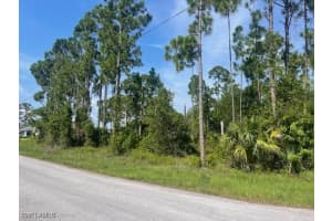 1010 Manikin Avenue, Lehigh Acres, FL 33974 - MLS#225062275