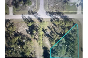 1010 Manikin Avenue, Lehigh Acres, FL 33974 - MLS#225062275