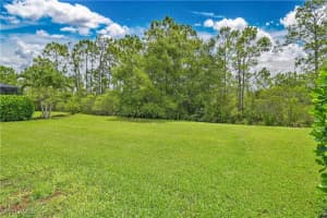 8979 Water Tupelo Road, Fort Myers, FL 33912 - MLS#225062340
