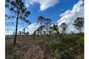 50044 Bermont Road, Punta Gorda, FL 33982 Sold 09/08/25