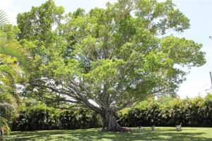 1406 Argyle Drive, Fort Myers, FL 33919 Sold 08/26/25