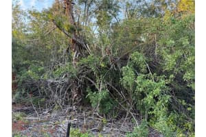 4187 36 Avenue, Naples, FL 34117 - MLS#225063532