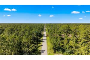 1107 Congress Avenue, Lehigh Acres, FL 33972 Sold 12/05/25