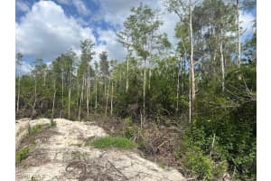 2 RIO GRANDE DR, Bonita Springs, FL 34135 Sold 08/18/25