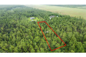 XXX 2nd Ave NE (Lot 1), Naples, FL 34120 - MLS#225064315