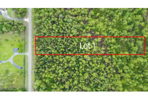 XXX 2nd Ave NE (Lot 1), Naples, FL 34120 - MLS#225064315