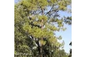  12th AVE SE, Naples, FL 34117 - MLS#225065196