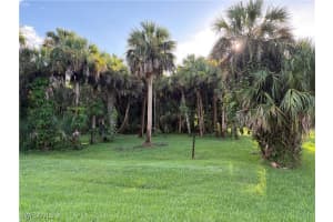  37282040000 2ND ST NE, Naples, FL 34120 Sold 09/24/25