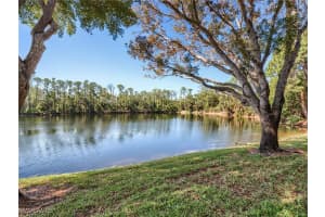 1016 MANOR LAKE Drive, Naples, FL 34110 - MLS#225067535