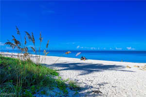 25 Bluebill Ave 403, Naples