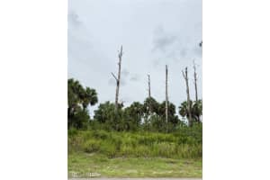 2905 Hanna Avenue, Lehigh Acres, FL 33971 - MLS#225068767