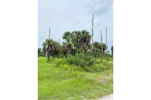 2905 Hanna Avenue, Lehigh Acres, FL 33971 - MLS#225068767