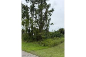 2903 Hanna Avenue, Lehigh Acres, FL 33971 - MLS#225068772