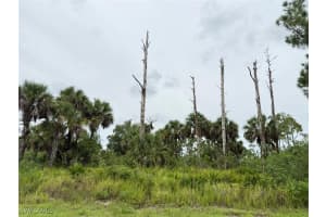 2903 Hanna Avenue, Lehigh Acres, FL 33971 - MLS#225068772