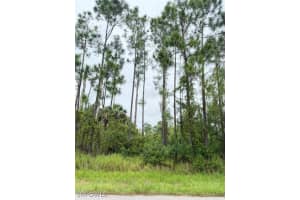 2903 Hanna Avenue, Lehigh Acres, FL 33971 - MLS#225068772