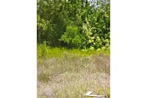 1412 Wells Avenue, Lehigh Acres, FL 33972 - MLS#225069282