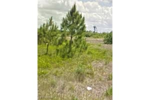 1412 Wells Avenue, Lehigh Acres, FL 33972 - MLS#225069282
