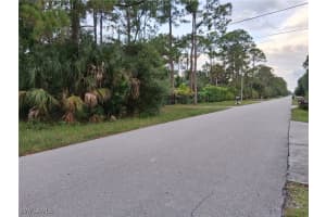 MLS# 225069536, Naples, Florida 34117