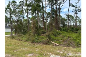 925 Barton Street, Lehigh Acres, FL 33974 - MLS#225070134