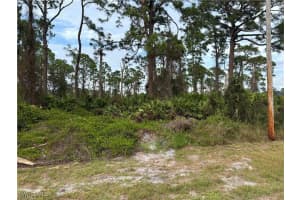 925 Barton Street, Lehigh Acres, FL 33974 - MLS#225070134