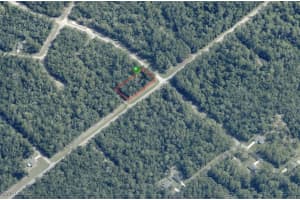 8698 ALAMEDA Drive, Citrus Springs, FL 34434 Sold 12/04/25