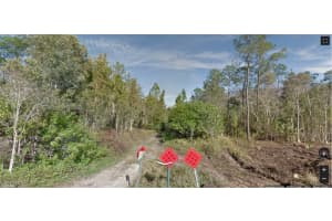  Amarillo ST, Bonita Springs, FL 34135 - MLS#225071948