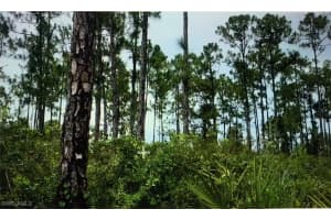  41st AVE NE, Naples, FL 34120 Sold 11/06/25